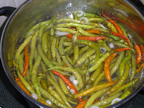 Chili, Chilischoten, eingelegte Chilischoten