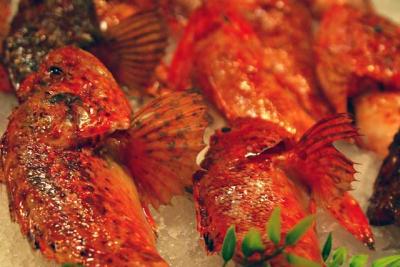 Fisch frischer Fisch roter Fisch