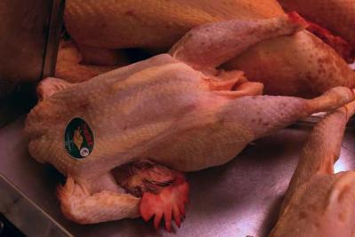 Gefl&uuml;gel Hahn Huhn Pute Brust Fl&uuml;gel Keule