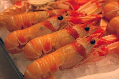 Langusten Krebsfleisch Scampi Krabben Schalentiere