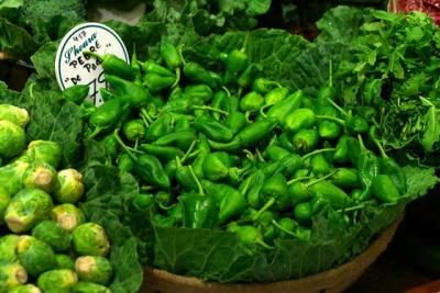 piementos de padron paprika gr&uuml;n scharf 